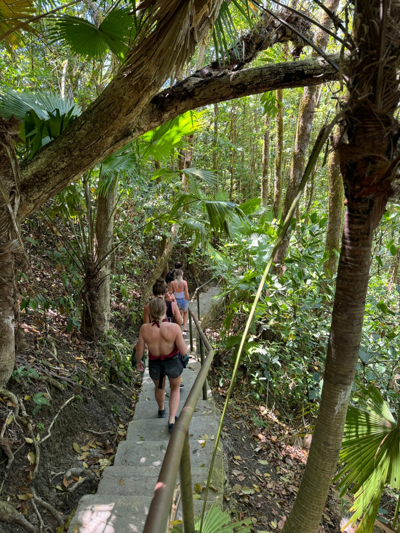 Travellers walking down jungle steps in Siquijor