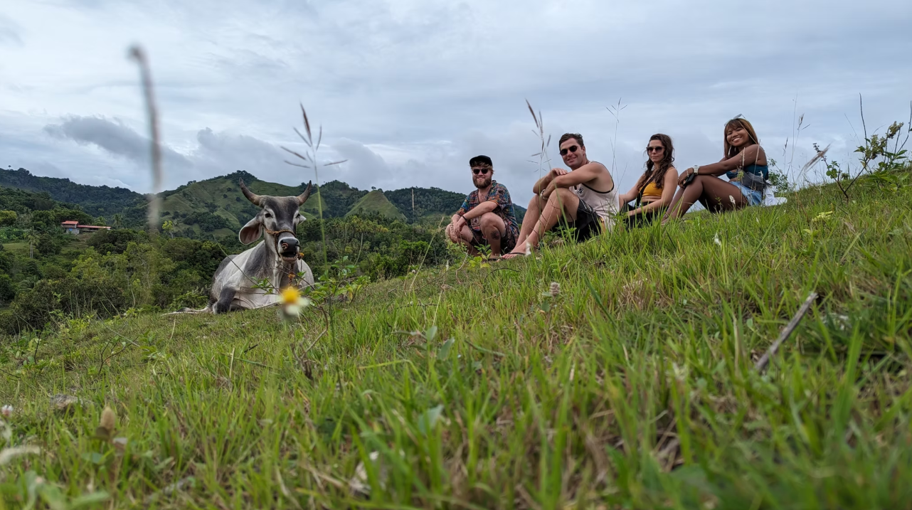 Travellers sitting on a hilltop with a carabao and mountain views
